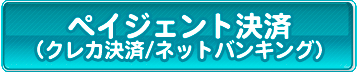 ペイジェントカード・銀行ネット決済